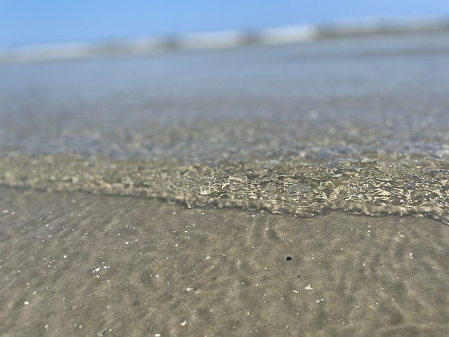 Free Beach Sea photo and picture
