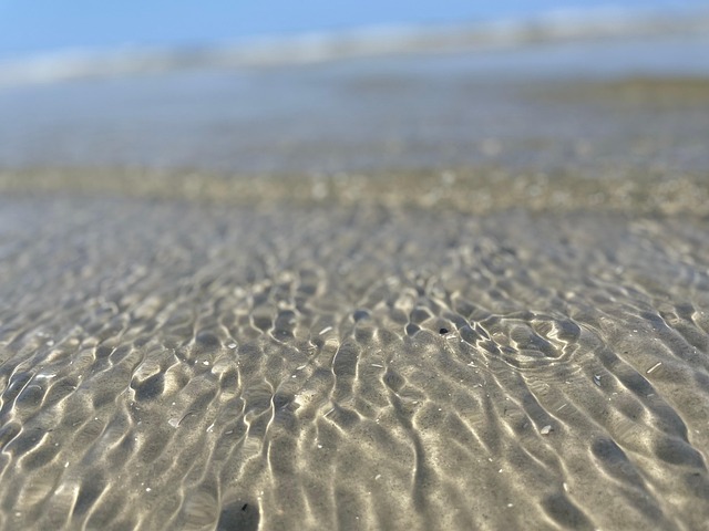 Free Sea Beach photo and picture