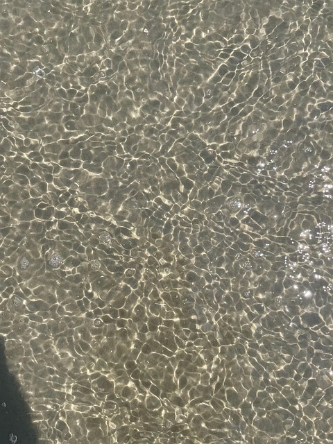 Free Sea Beach photo and picture