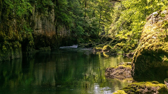 Flyde, Sommer, Rolige, Grøn, Natur