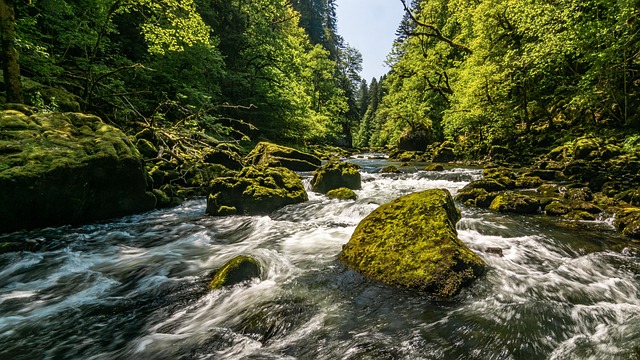Flyde, Strømfald, Landskab, Grøn, Natur