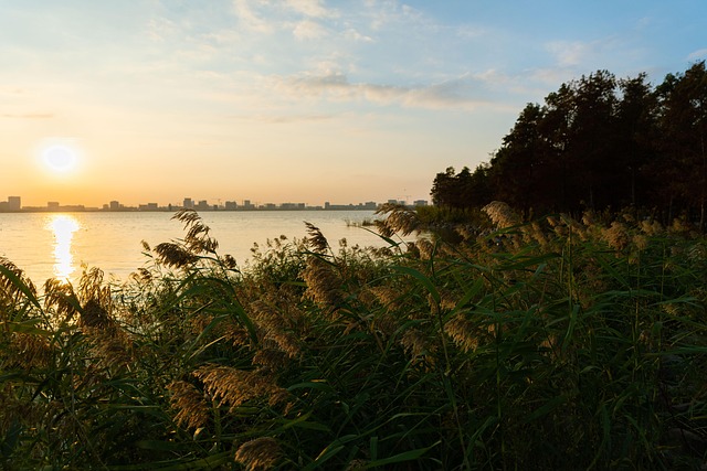 Free Sunset Lakeside photo and picture