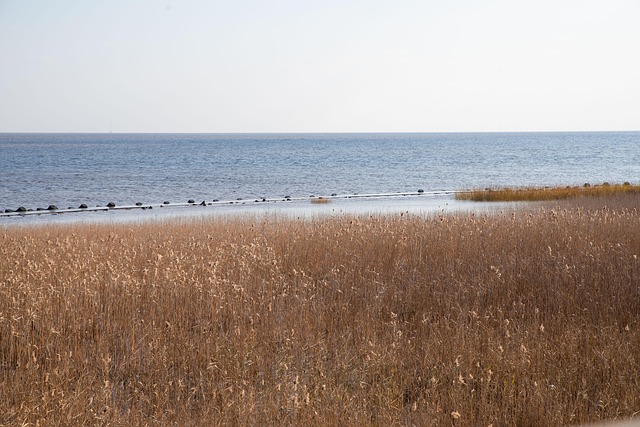 Free Autumn Beach photo and picture