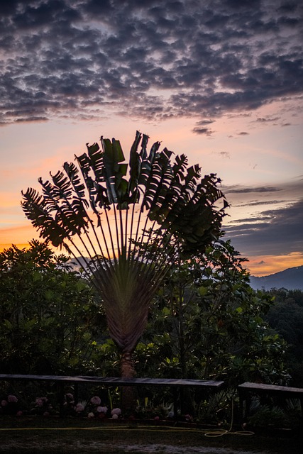 Pôr Do Sol, Cênica, Crepúsculo