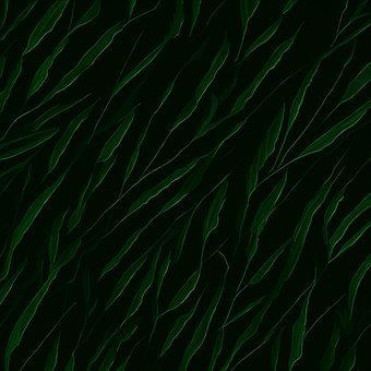 Free Ai Generated Green Leaves illustration and picture