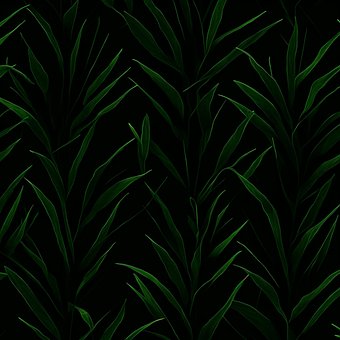 Free Ai Generated Green Leaves illustration and picture