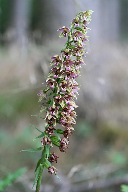 Image 13