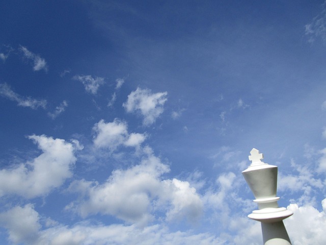 Free Chess King photo and picture