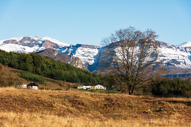 Árboles, Campo, Nevado, Montaña, Granja