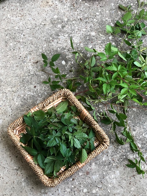 Free Leaves Tea photo and picture