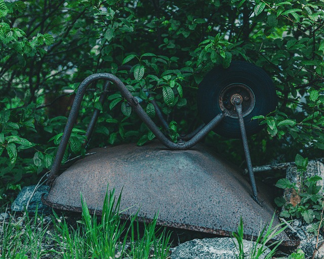 Wheelbarrow Garden Gardening - Free photo on Pixabay - Pixabay