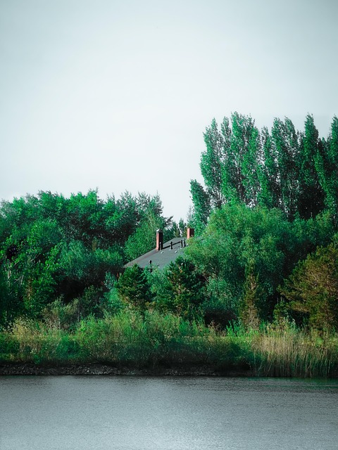 Sø, Græs, Planter, Skov, Sommer, Hus