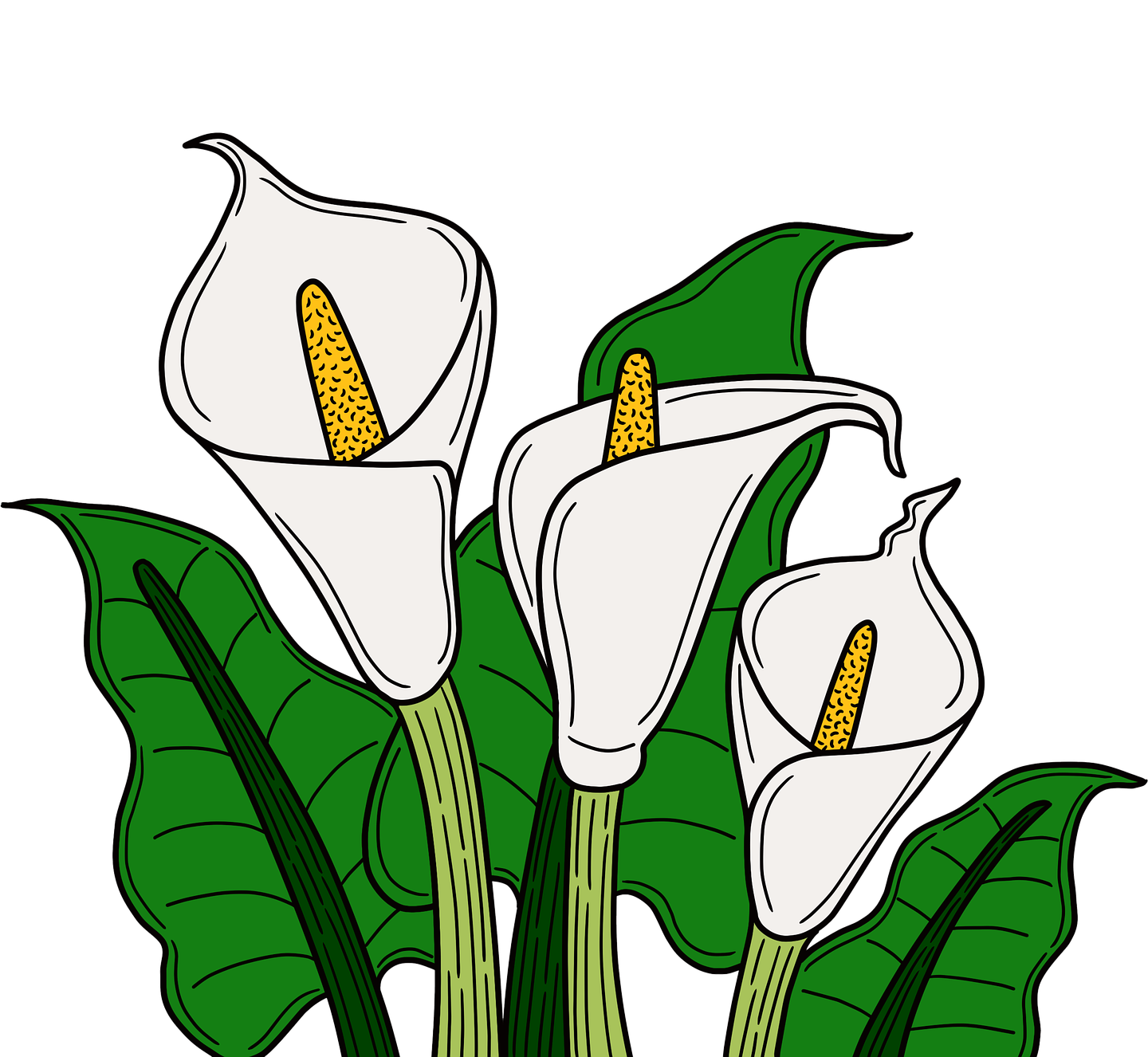 Bucarama TLM Pixabay Bucarama TLM Pixabay