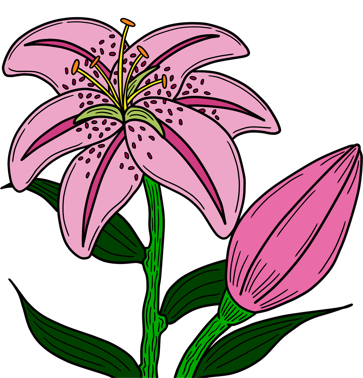 Download Flower Plants Blooming RoyaltyFree Stock Illustration Image