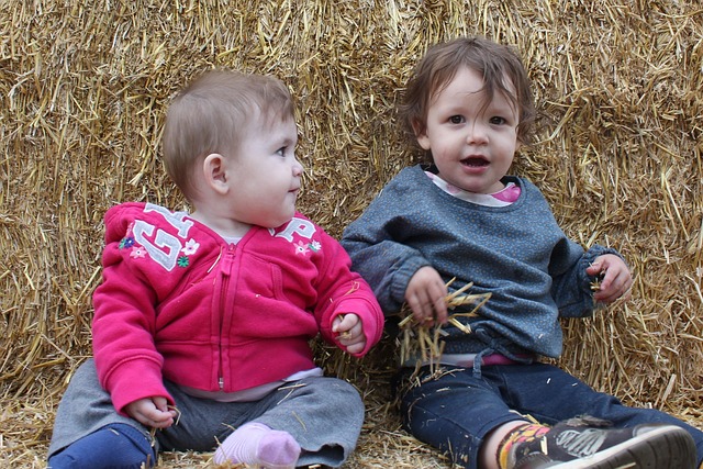Free Sisters Hay photo and picture