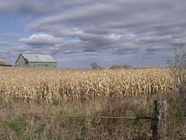Free Field Barn photo and picture