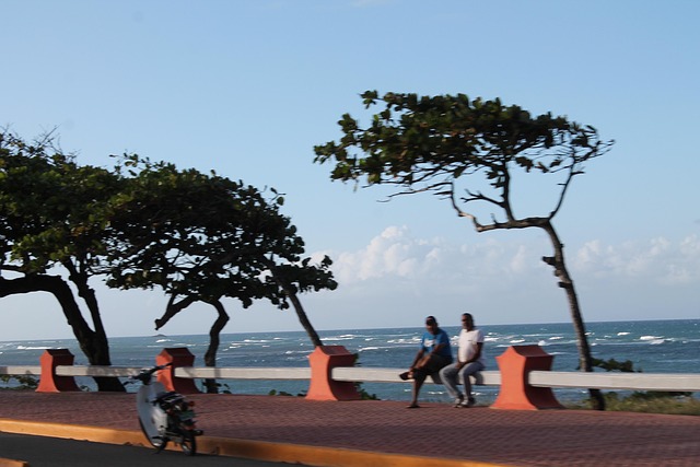 Free Ocean Shore Beach photo and picture