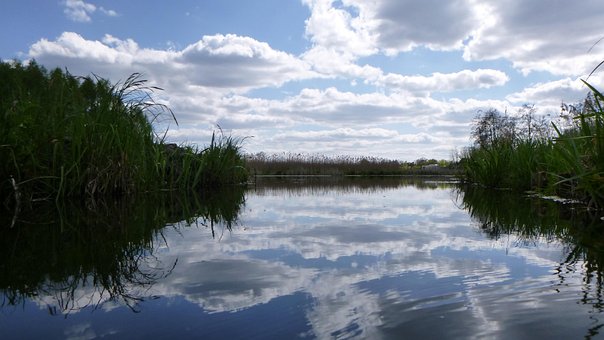 Sø, Samling, Akvatiske Økosystem, Natur