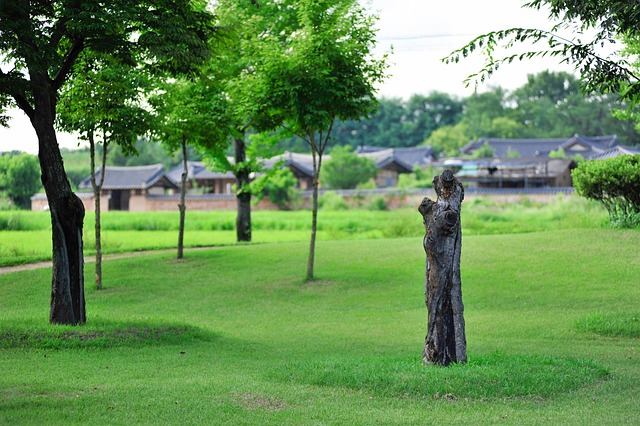 Have, Natur, Sommer, Abstrakt, Plante