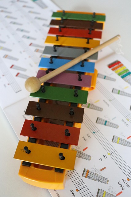 Free Xylophone Music photo and picture