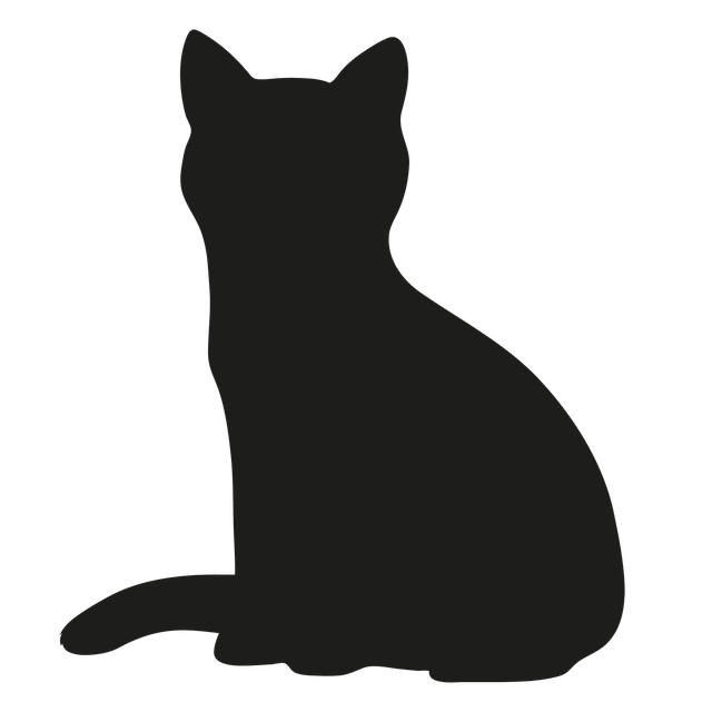 Kat, Dyr, Kæledyr, Huskat, Killing, Mørk