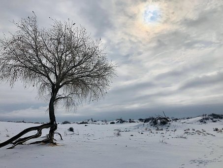 Neu, Mexiko, Sand, Düne, Weiß, Schnee