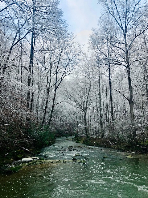 Schnee, Fluss, Bach, Winter, Natur
