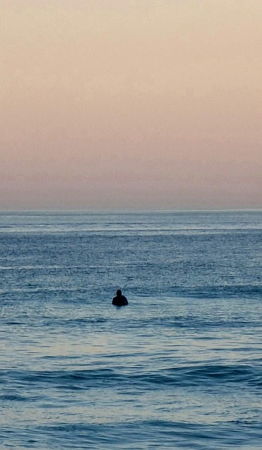 Free Surfer Beach photo and picture