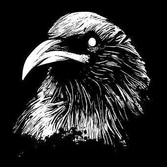 Free Raven Crow illustration and picture