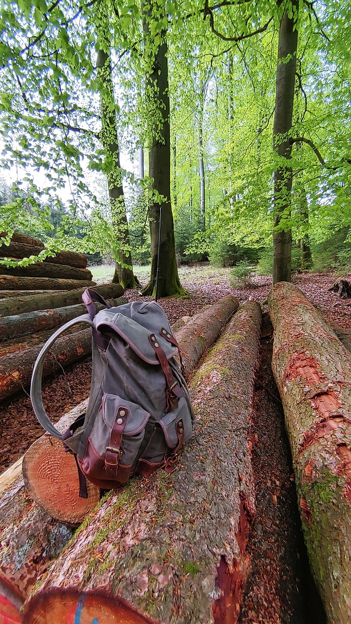 Forest Backpack Wood Free photo on Pixabay Pixabay