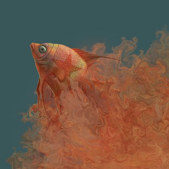 Free Goldfish Fish illustration and picture