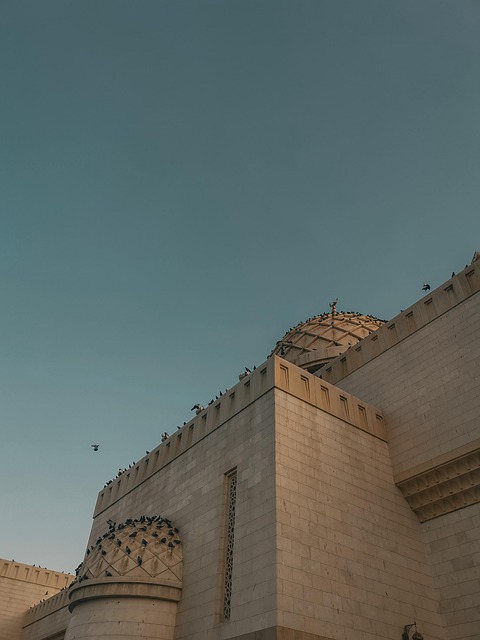 Free Architecture Castle photo and picture