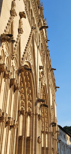 Free Lyon Cathedral photo and picture