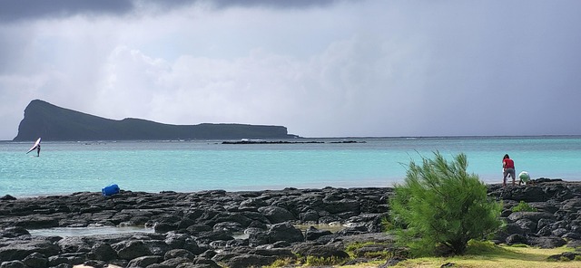 Free Sea Island photo and picture