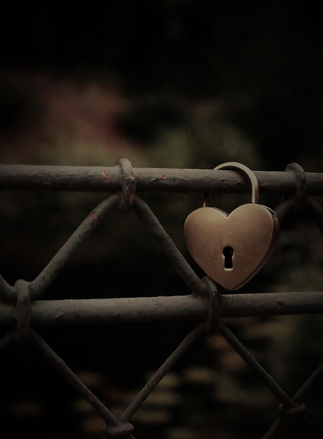 Free Heart Love photo and picture