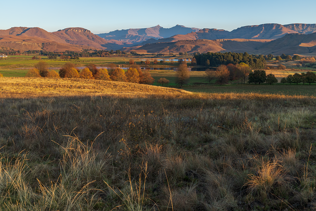 Paisaje, Montañas, Hierba, Campo