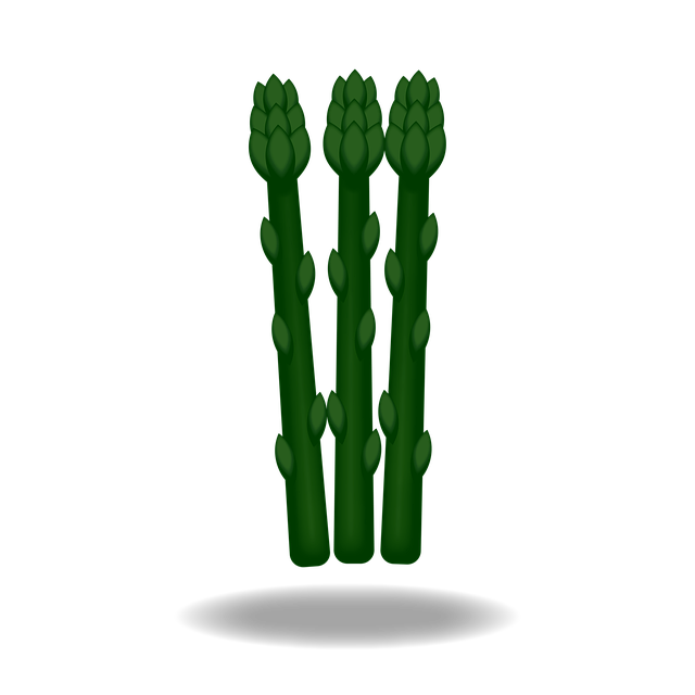 Free asparagus vegetable food illustration