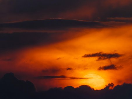Free Sun Summer photo and picture