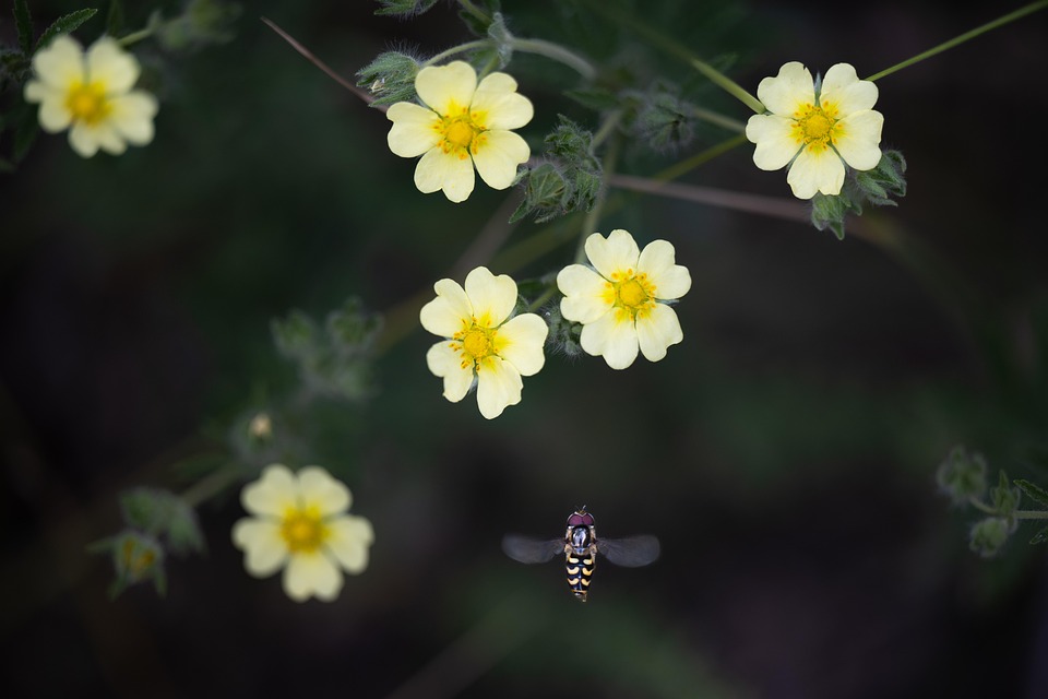 Kids Gardening Adventure – Atlanta Botanical Garden