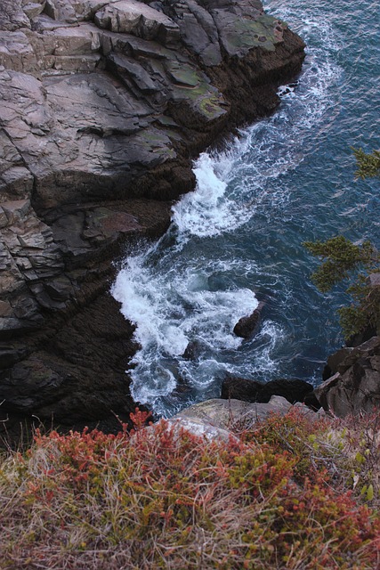 Free Atlantic Background photo and picture