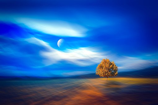 Free Nature Photography illustration and picture