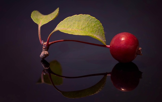 Holzapfel, Rot, Obst, Reflexion, Blätter