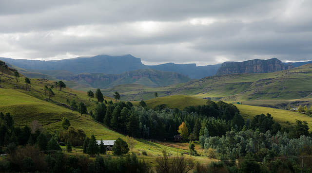 Verde, Bosque, Montañas, Paisaje
