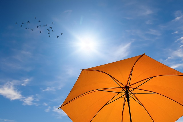 Free umbrella parasol sun illustration