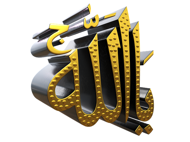 Free misam ali rizvi illustration