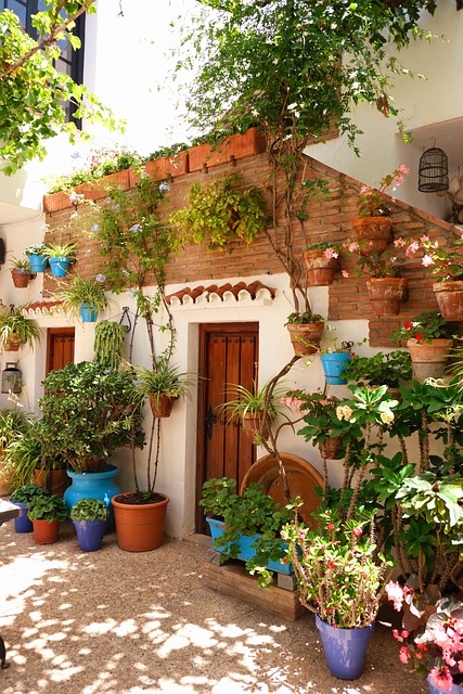 Free House Backyard photo and picture