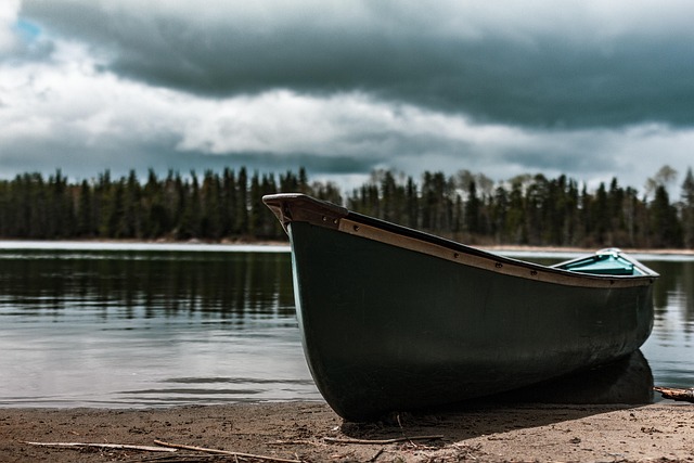 Boot, Kanu, Angeln, Natur, Ontario