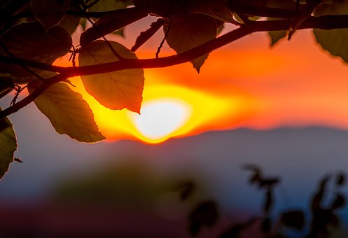 Atardecer, Paisaje, Naturaleza
