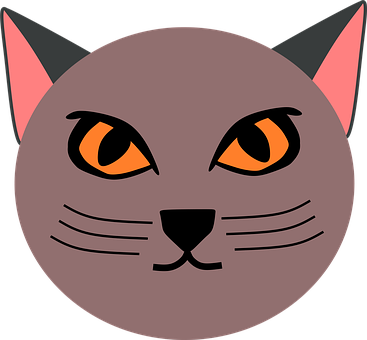Animal, Gato, Mamífero, Kitty, Cinza