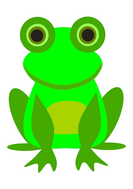 Rã, Animal, Verde, Amigo, Espécies
